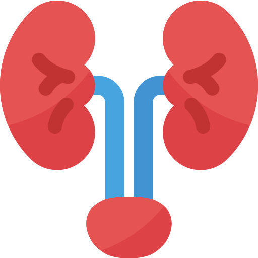 Urology